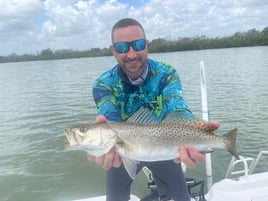 Key Largo Flats Fishing