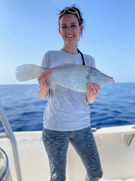 Half Day Biscayne Bay Trip