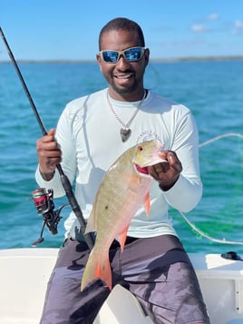 Half Day Biscayne Bay Trip