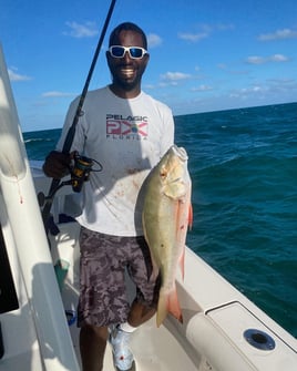 Half Day Biscayne Bay Trip