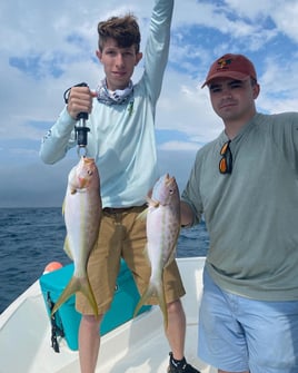 Half Day Biscayne Bay Trip