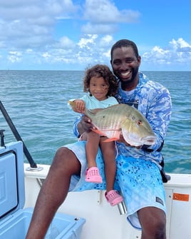 Half Day Biscayne Bay Trip