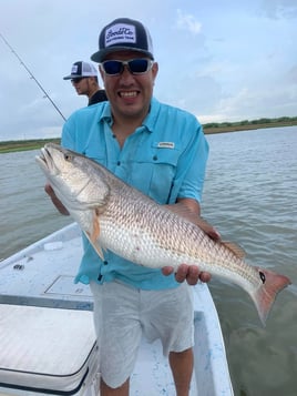 Aransas Pass Inshore Action