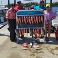 Triggerfish, Vermillion Snapper Fishing in Panama City, Florida