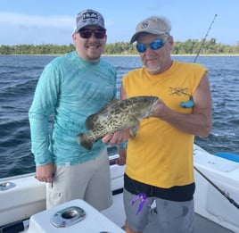 Gag Grouper Fishing in Panama City Beach, Florida