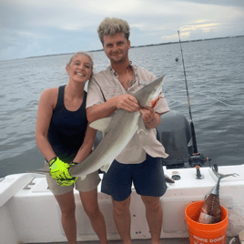 Panama City Shark Spectacular