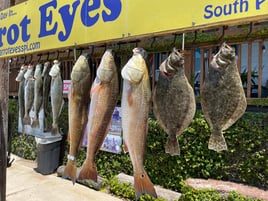 Flounder, Redfish, Speckled Trout Fishing in South Padre Island, Texas