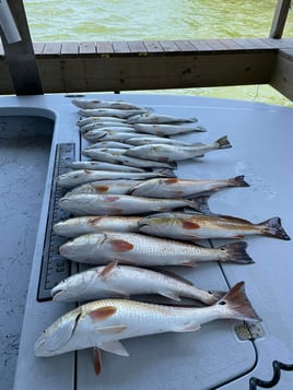 Redfish, Speckled Trout Fishing in South Padre Island, Texas