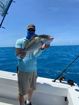 Reef/Wreck Fishing