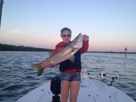 Snook Fishing in Okeechobee, Florida