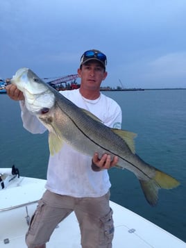 Snook Fishing in Okeechobee, Florida