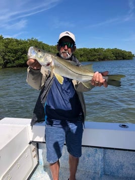 Snook Fishing in Holmes Beach, Florida