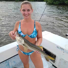 Snook Fishing in Holmes Beach, Florida