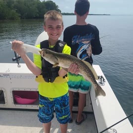 Speckled Trout Fishing in Holmes Beach, Florida