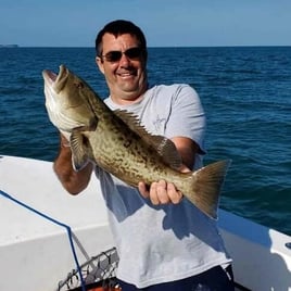 Gag Grouper Fishing in Holmes Beach, Florida