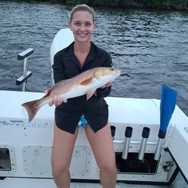 Redfish Fishing in Holmes Beach, Florida