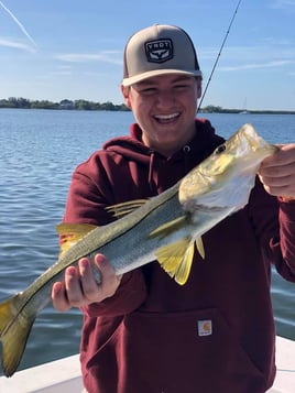 Snook Fishing in Holmes Beach, Florida