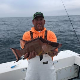 Hogfish Fishing in Holmes Beach, Florida