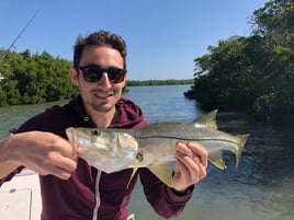 Snook Fishing in Holmes Beach, Florida