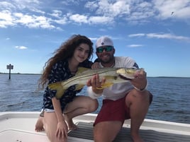 Snook Fishing in Holmes Beach, Florida