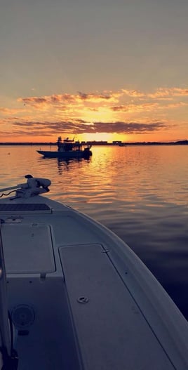 Nighttime Shark Trip