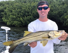 Snook Fishing in Holmes Beach, Florida