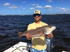 Redfish Fishing in Holmes Beach, Florida