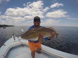 Redfish Fishing in Holmes Beach, Florida