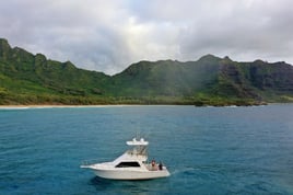 Kaua'i Quick Offshore Run