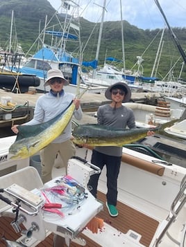 Mahi Mahi Fishing in Lihue, Hawaii