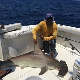 Hammerhead Shark Fishing in Freeport, Texas