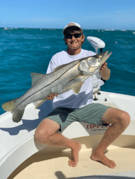 Sebastian Inlet on Light Tackle