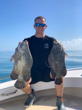 Sebastian Inlet on Light Tackle