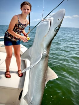 Tampa Bay Inshore Adventures