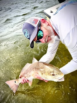 Tampa Bay Inshore Adventures