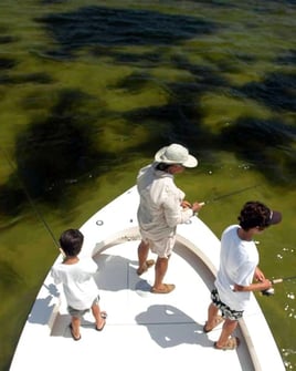 Tampa Bay Inshore Adventures