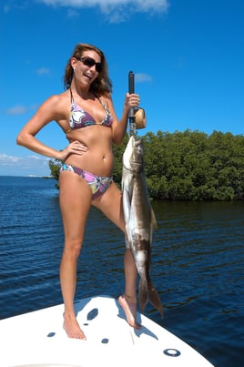 Tampa Bay Inshore Adventures