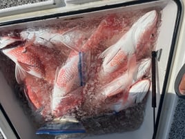 "Cajun Classic" Red Snapper Trip