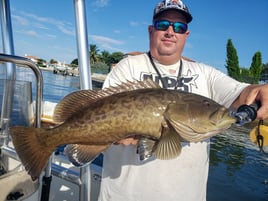 Gag Grouper Fishing in St. Petersburg, Florida