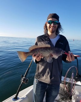 Gag Grouper Fishing in St. Petersburg, Florida