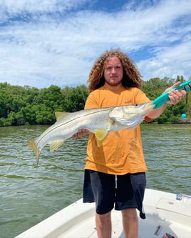 Snook Fishing in St. Petersburg, Florida