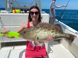 Gag Grouper Fishing in St. Petersburg, Florida