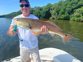 Redfish Fishing in St. Petersburg, Florida