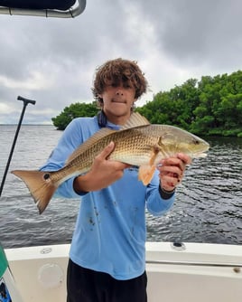 Redfish Fishing in St. Petersburg, Florida