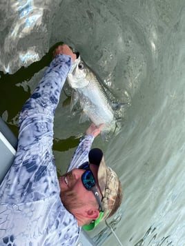 Tarpon Fishing in St. Petersburg, Florida