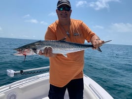 Kingfish Fishing in St. Petersburg, Florida