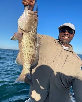 Gag Grouper Fishing in St. Petersburg, Florida