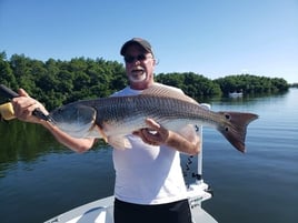 Redfish Fishing in St. Petersburg, Florida