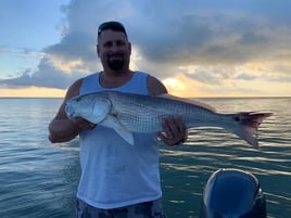 Backwater Big Boys