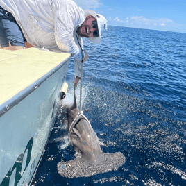 World Famous Sportfishing - Large Group (7 to 22)